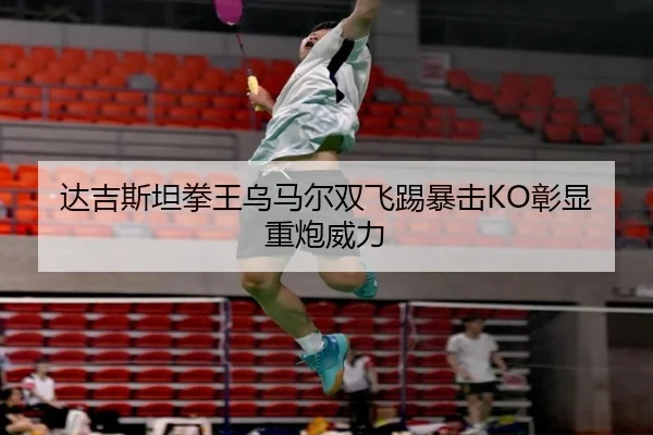 达吉斯坦拳王乌马尔双飞踢暴击KO彰显重炮威力