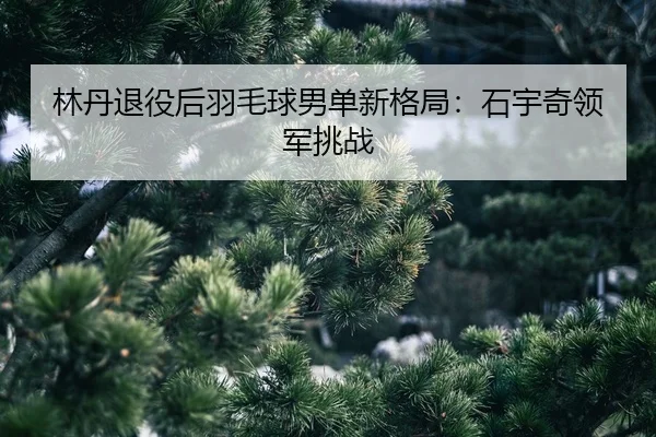 lin-dan-tui-yi-hou-yu-mao-qiu-nan-dan-xin-ge-ju-shi-yu-qi-ling-jun-tiao-zhan-2-149.jpg