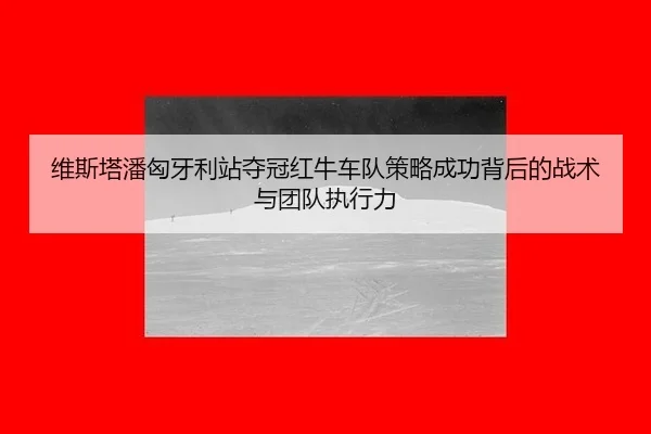 wei-si-ta-pan-xiong-ya-li-zhan-duo-guan-hong-niu-che-dui-ce-lve-cheng-gong-bei-hou-de-zhan-shu-yu-tuan-dui-zhi-xing-li-3-990.jpg