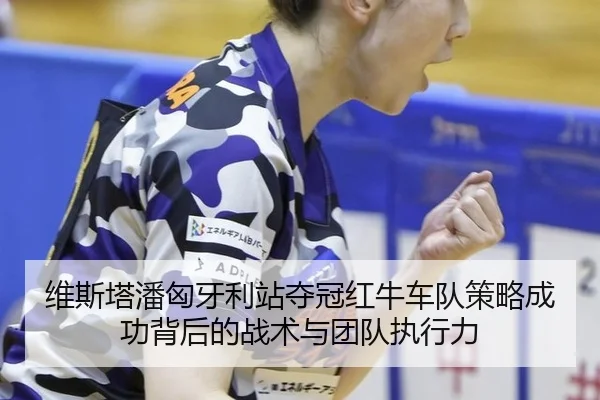 维斯塔潘匈牙利站夺冠红牛车队策略成功背后的战术与团队执行力