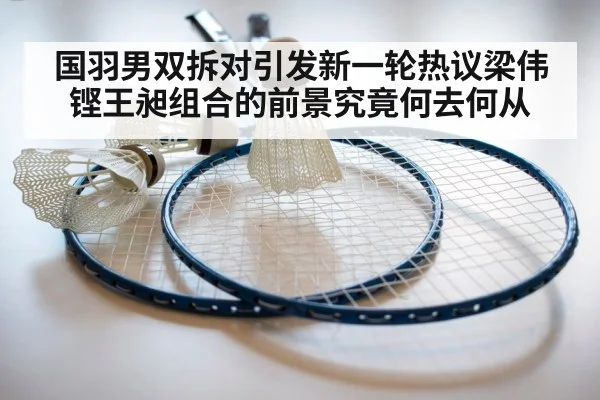 国羽男双拆对引发新一轮热议梁伟铿王昶组合的前景究竟何去何从